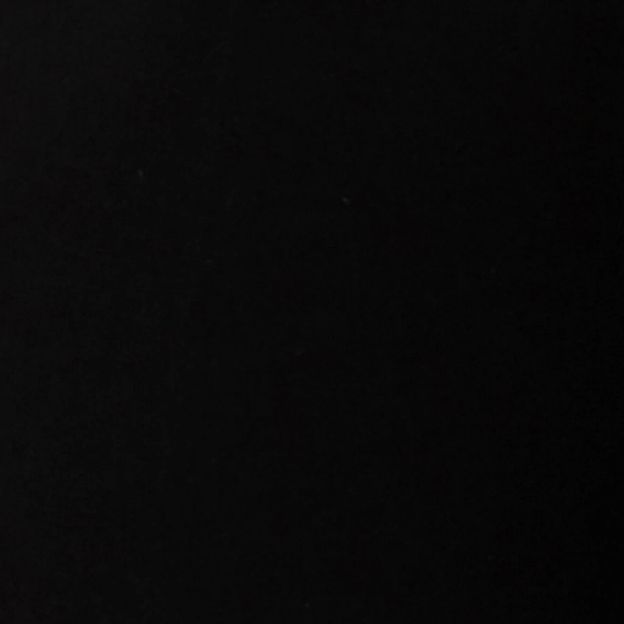 Alexa Classic Pant Black - Image 6