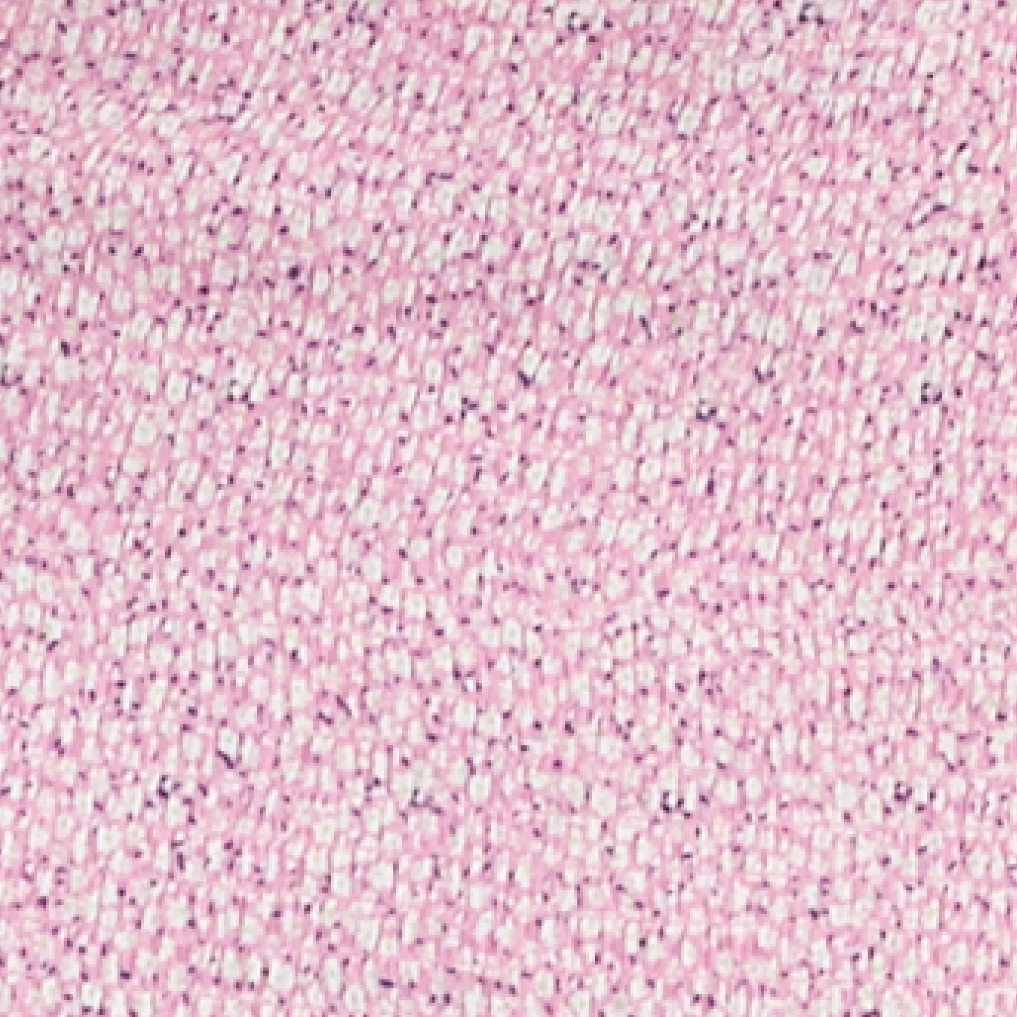 Selma Shirred Dress  Multi - Image 7